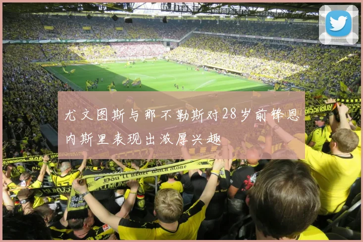 尤文图斯与那不勒斯对28岁前锋恩内斯里表现出浓厚兴趣