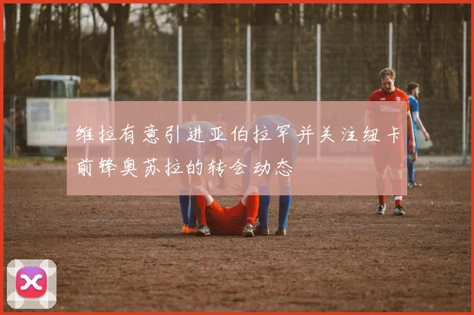 维拉有意引进亚伯拉罕并关注纽卡前锋奥苏拉的转会动态