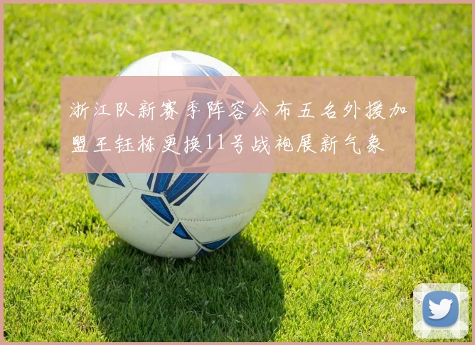 浙江队新赛季阵容公布五名外援加盟王钰栋更换11号战袍展新气象