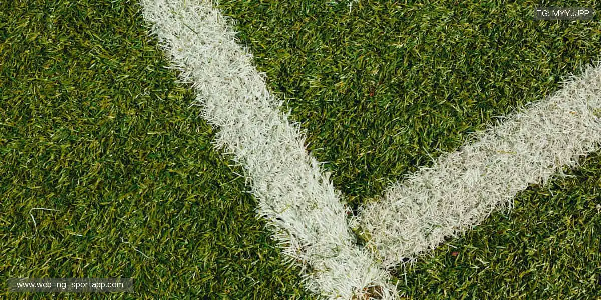 即刻购票，锁定你的热血席位！🎫⚡